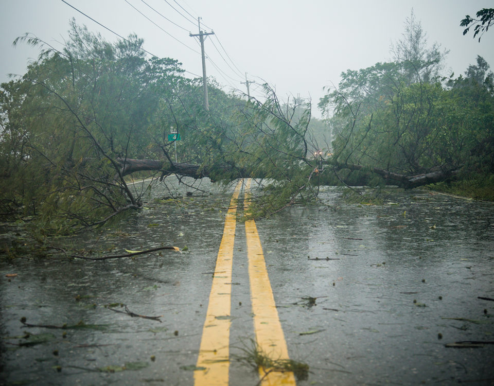 States of Emergency How to Respond and Assist