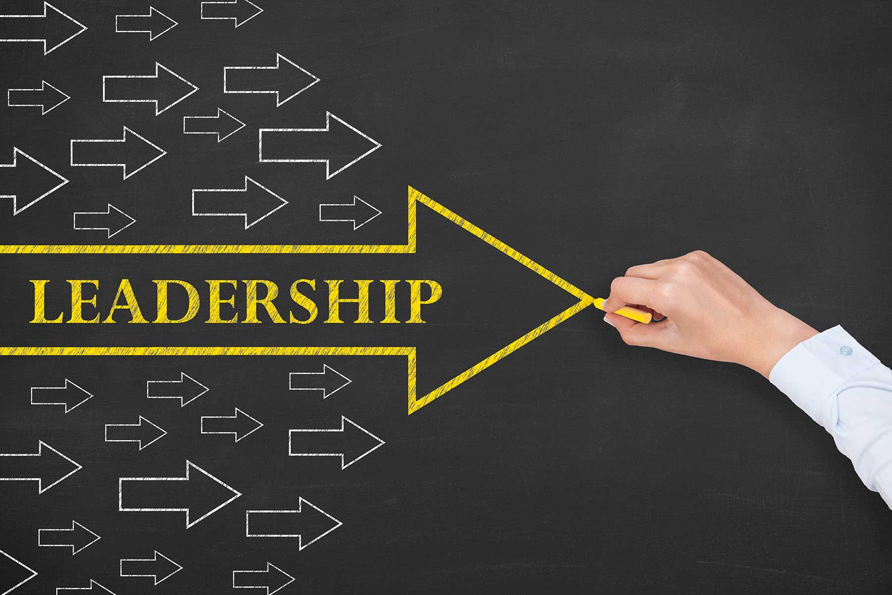 How to Develop Leaders in Your Company