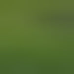 Profile picture of Héctor Sánchez